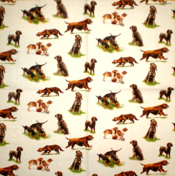 060 Dogs